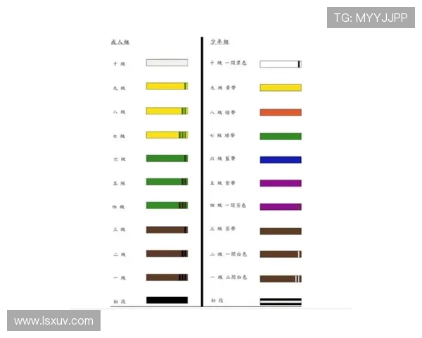 国际柔道联合会等级评定标准的演变